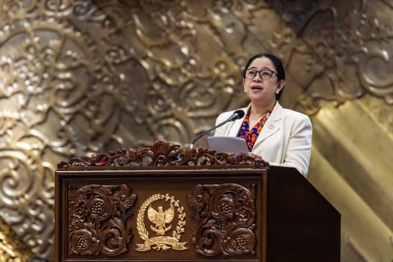 Ketua DPR RI Puan Maharani. foto:ist