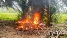 foto: gubuk yang diduga kuat digunakan sebagai lokasi pesta narkoba di wilayah Komering Agung, Kecamatan Gunung Sugih, Kabupaten Lampung Tengah.