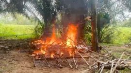 foto: gubuk yang diduga kuat digunakan sebagai lokasi pesta narkoba di wilayah Komering Agung, Kecamatan Gunung Sugih, Kabupaten Lampung Tengah.