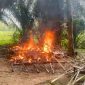foto: gubuk yang diduga kuat digunakan sebagai lokasi pesta narkoba di wilayah Komering Agung, Kecamatan Gunung Sugih, Kabupaten Lampung Tengah.