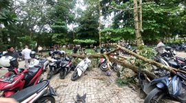 Sejumlah sepeda motor mahasiswa rusak tertimpa pohon tumbang akibat angin kencang di area kampus Universitas Lampung,