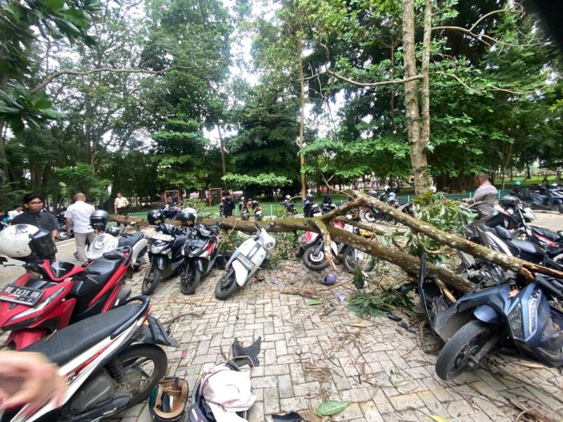 Sejumlah sepeda motor mahasiswa rusak tertimpa pohon tumbang akibat angin kencang di area kampus Universitas Lampung,