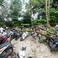 Sejumlah sepeda motor mahasiswa rusak tertimpa pohon tumbang akibat angin kencang di area kampus Universitas Lampung,