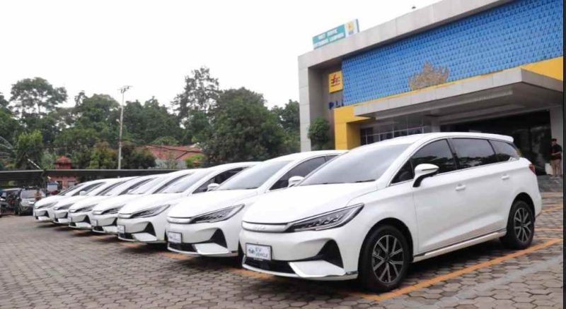 Puluhan armada EV PLN UID Lampung memperkuat komitmen menghadirkan operasional yang efisien dan berkelanjutan. / ist
