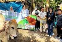 Deputi Bisnis PT Pegadaian Area Lampung Lenny Fetresia bersama jajaran dan Ketua Bank Sampah Komari menyerahkan sapi kurban kepada bank sampah binaan di Pringsewu, Lampung, Sabtu 30/5/2026. PROYEKSI.ID/Doc Pegadaian