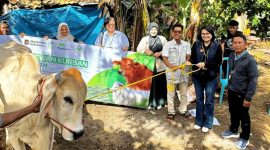 Deputi Bisnis PT Pegadaian Area Lampung Lenny Fetresia bersama jajaran dan Ketua Bank Sampah Komari menyerahkan sapi kurban kepada bank sampah binaan di Pringsewu, Lampung, Sabtu 30/5/2026. PROYEKSI.ID/Doc Pegadaian