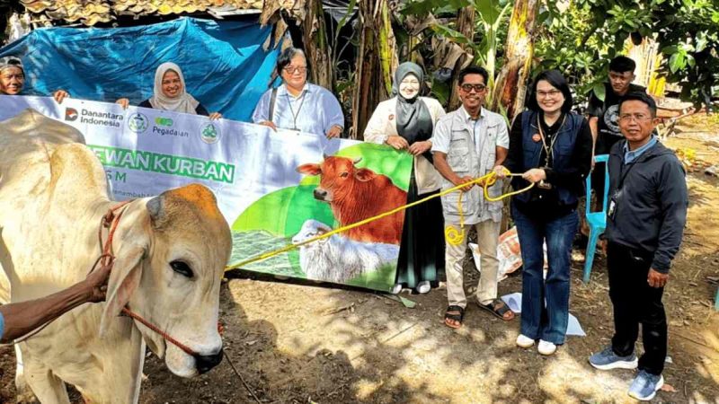 Deputi Bisnis PT Pegadaian Area Lampung Lenny Fetresia bersama jajaran dan Ketua Bank Sampah Komari menyerahkan sapi kurban kepada bank sampah binaan di Pringsewu, Lampung, Sabtu 30/5/2026. PROYEKSI.ID/Doc Pegadaian