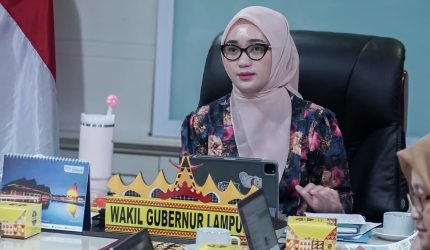 wagub jihan nurlela rakor tbc lampung 2026