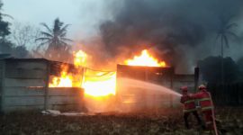 Dua petugas Damkar Lampung Selatan dan Pesawaran menyemprotkan air ke kobaran api yang membakar gudang CPO ilegal di Desa Negeri Sakti, Gedong Tataan, Pesawaran, Senin 8 Juni 2026 pukul 15.30 WIB. Api membumbung tinggi disertai asap hitam pekat. Kerugian ditaksir Ratusan juta rupiah. Foto: PROYEKSI.ID