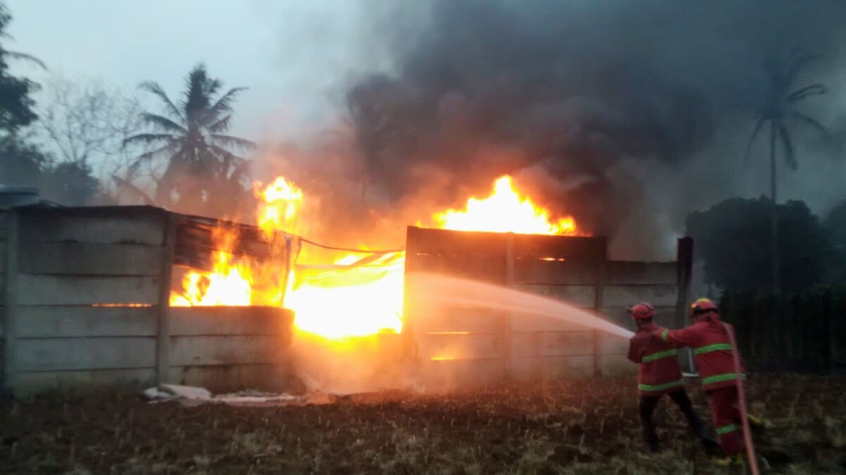 Dua petugas Damkar Lampung Selatan dan Pesawaran menyemprotkan air ke kobaran api yang membakar gudang CPO ilegal di Desa Negeri Sakti, Gedong Tataan, Pesawaran, Senin 8 Juni 2026 pukul 15.30 WIB. Api membumbung tinggi disertai asap hitam pekat. Kerugian ditaksir Ratusan juta rupiah. Foto: PROYEKSI.ID